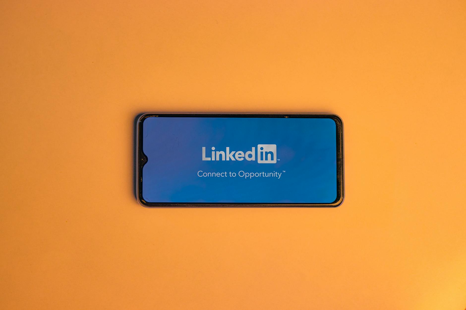 Professional business people networking on LinkedIn, illustrating B2B marketing and lead generation strategies